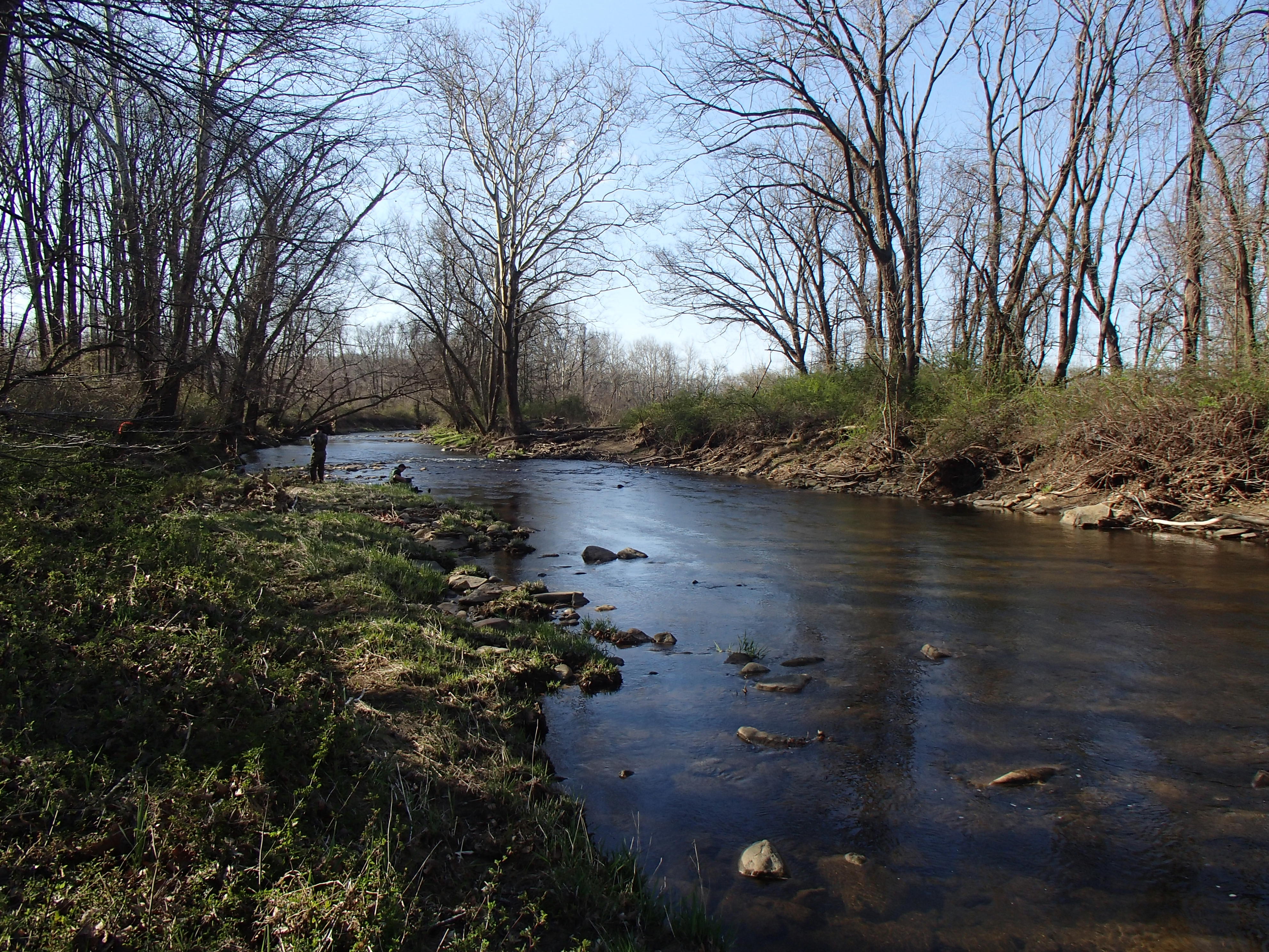 Field photo showing stream conditions at site LIEL-114-R-2016_Midpoint looking downstream